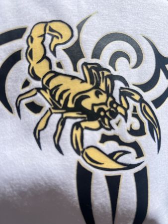 T‘Shirt kurzarm, Skorpion, weiss mit Color Effekt M/L