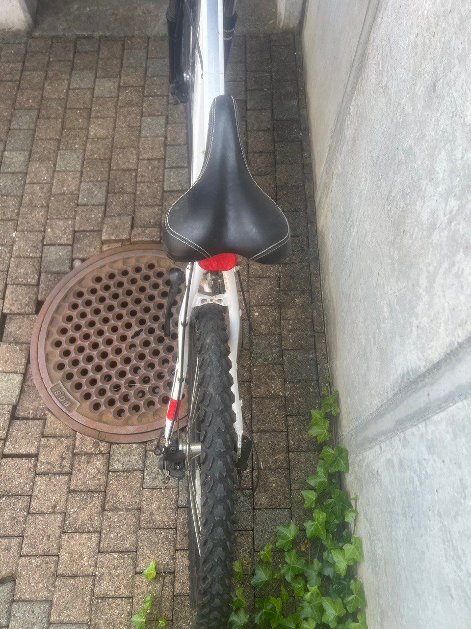 Biciclette: PRINCETON Mountainbike – Usato da Nottwil venduto da Ape4 3