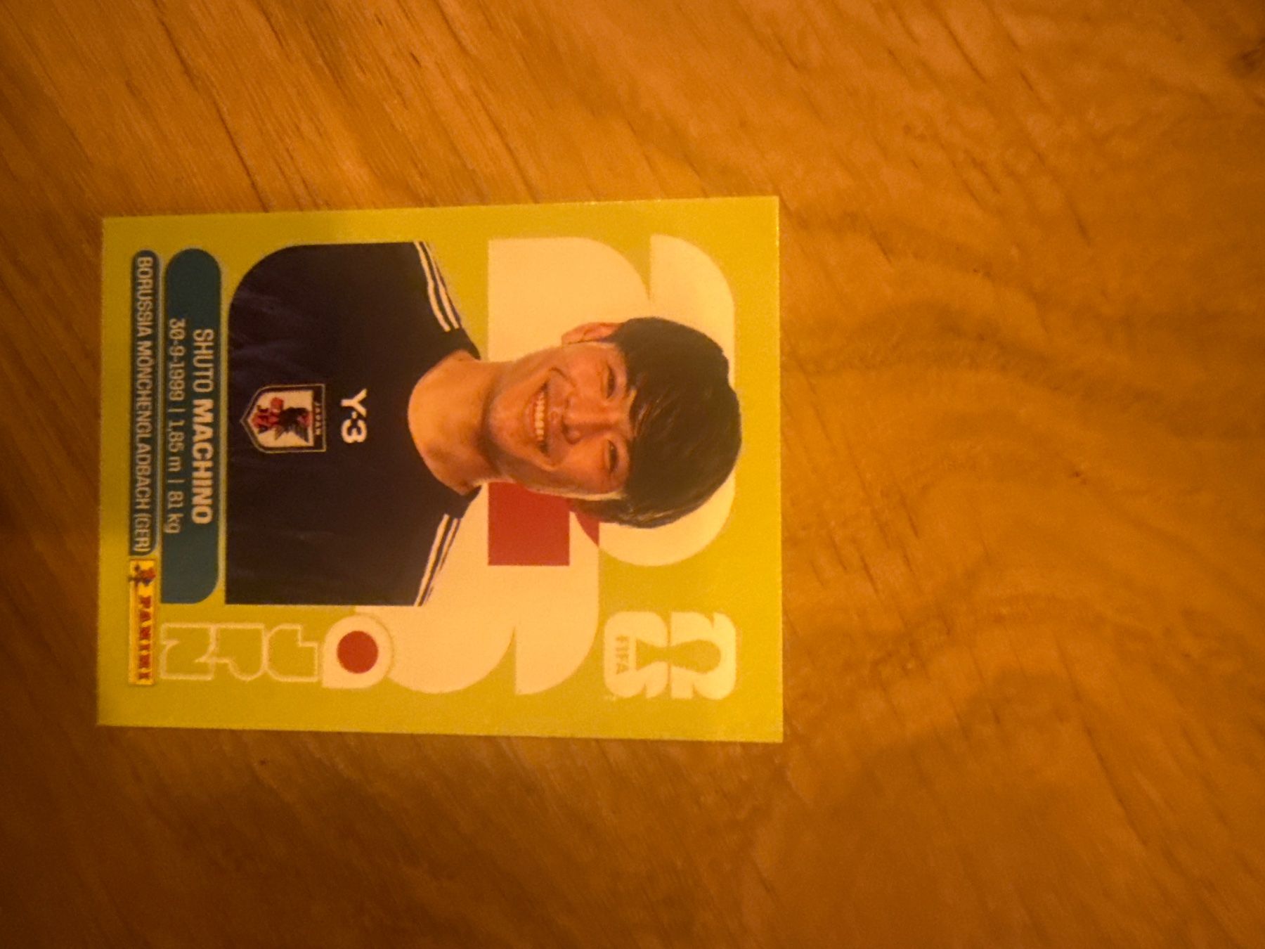Panini Sammelbilder & Trading cards: Panini – Gebraucht aus Langnau i. E. von Acrjl