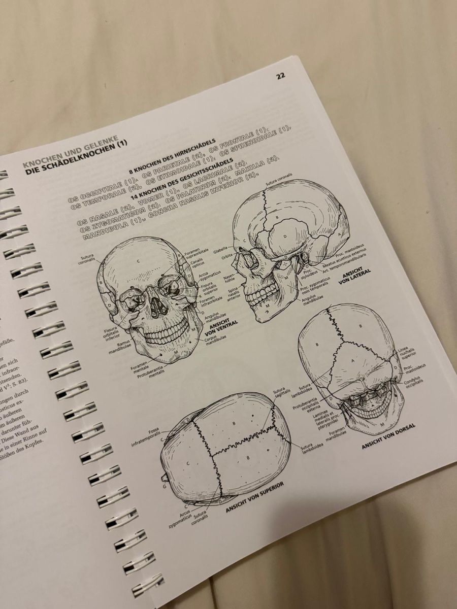Libri: Anatomie Malatlas – Nuovo (secondo la descrizione) da Uetikon am See venduto da Lorella.v 2