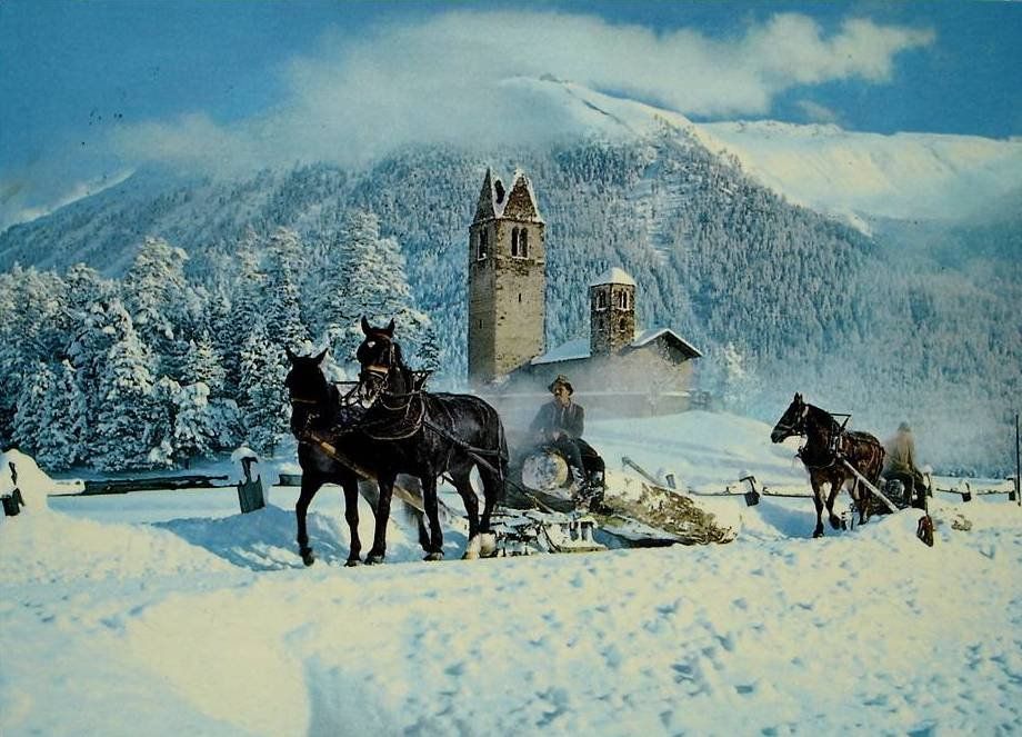 Cartes postales: CELERINA San Gian - Pferde-Schlitten - Holztransport – D'occasion à Jona par philajona