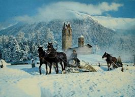 CELERINA San Gian - Pferde-Schlitten - Holztransport