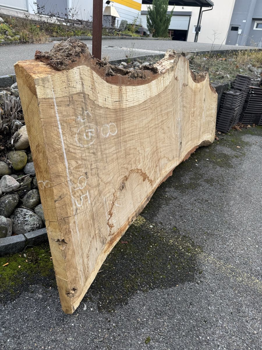 Articoli in legno: XXL - Tischplatte aus einem Stück - massive Baumscheibe – Usato da Gränichen venduto da onkel_xxl 6