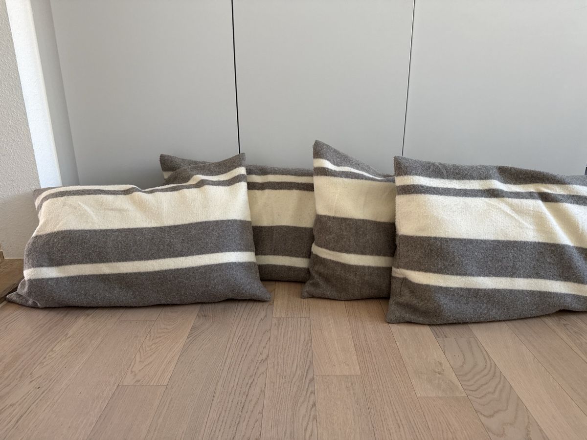 Coussins: Zara Home sofa pillows  – D'occasion à Zürich par AlineCr