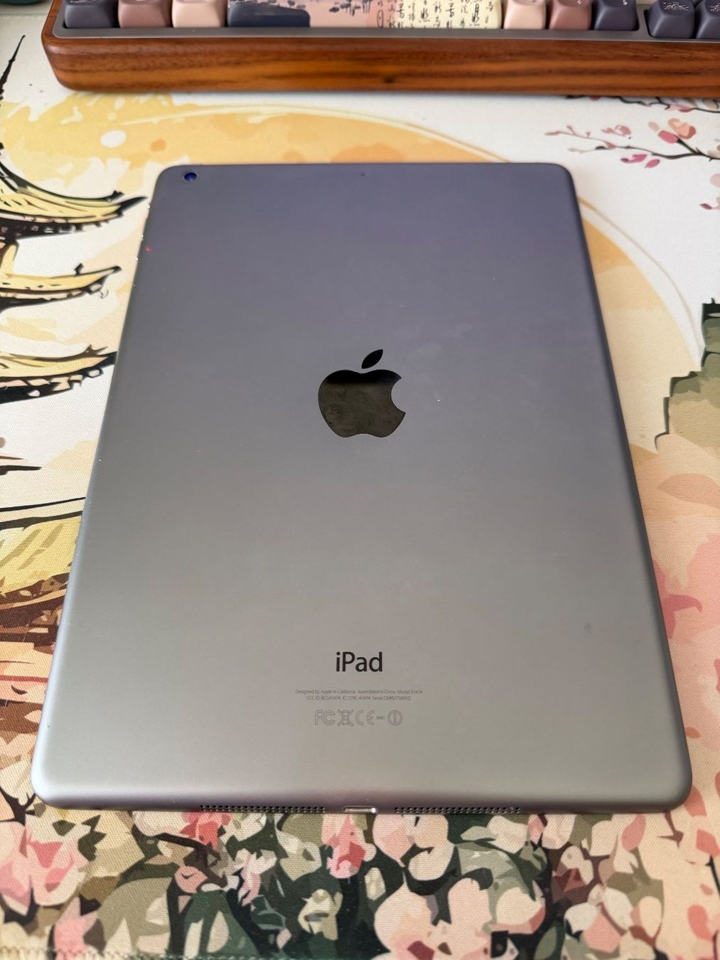 Apple Tablet PC: iPad Air 1. Generation (2013, WLAN) – Gebraucht aus Root von steineland.ch 2