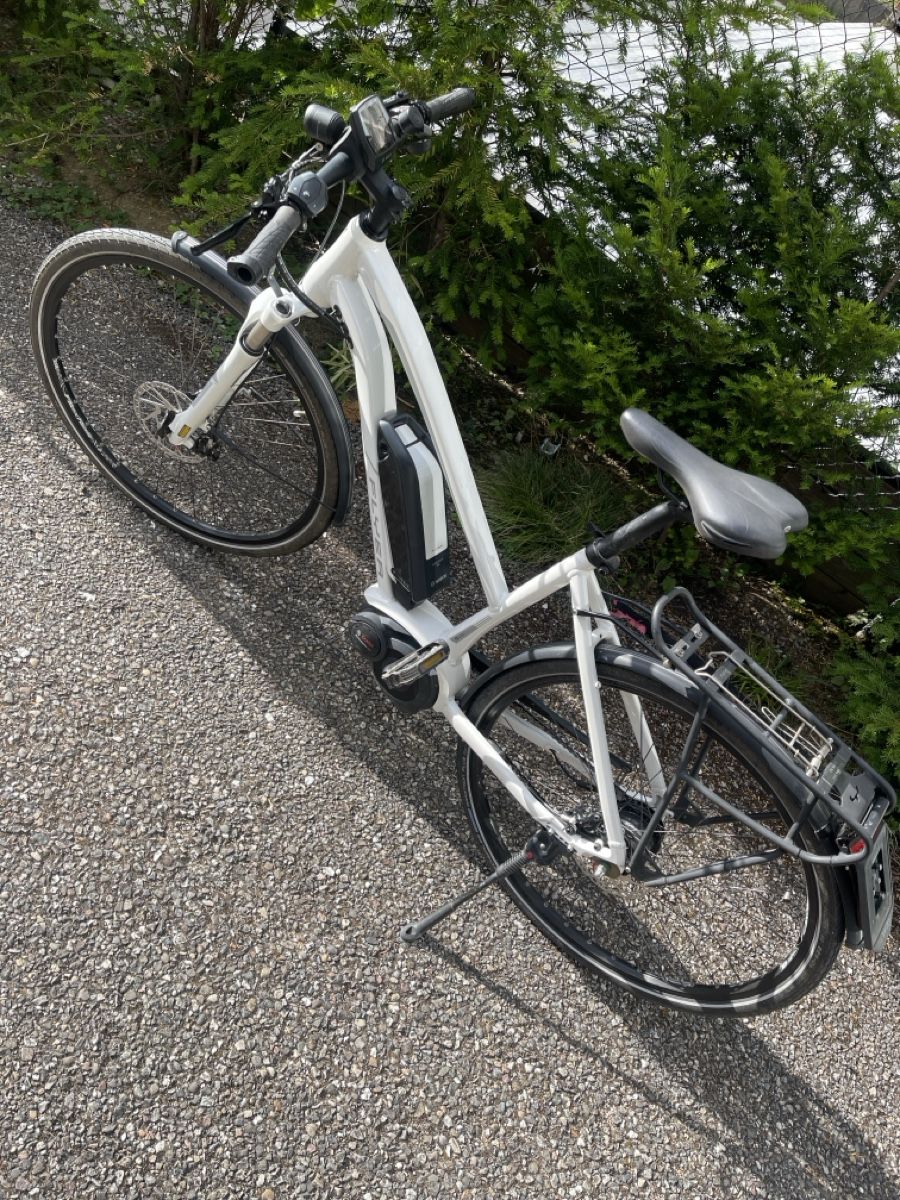 Flyer Biciclette: m-Way Flyer 15 TS 7.60 HS TM Bosch – Usato da Basel venduto da marica-bs 1