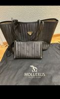 Mollerus