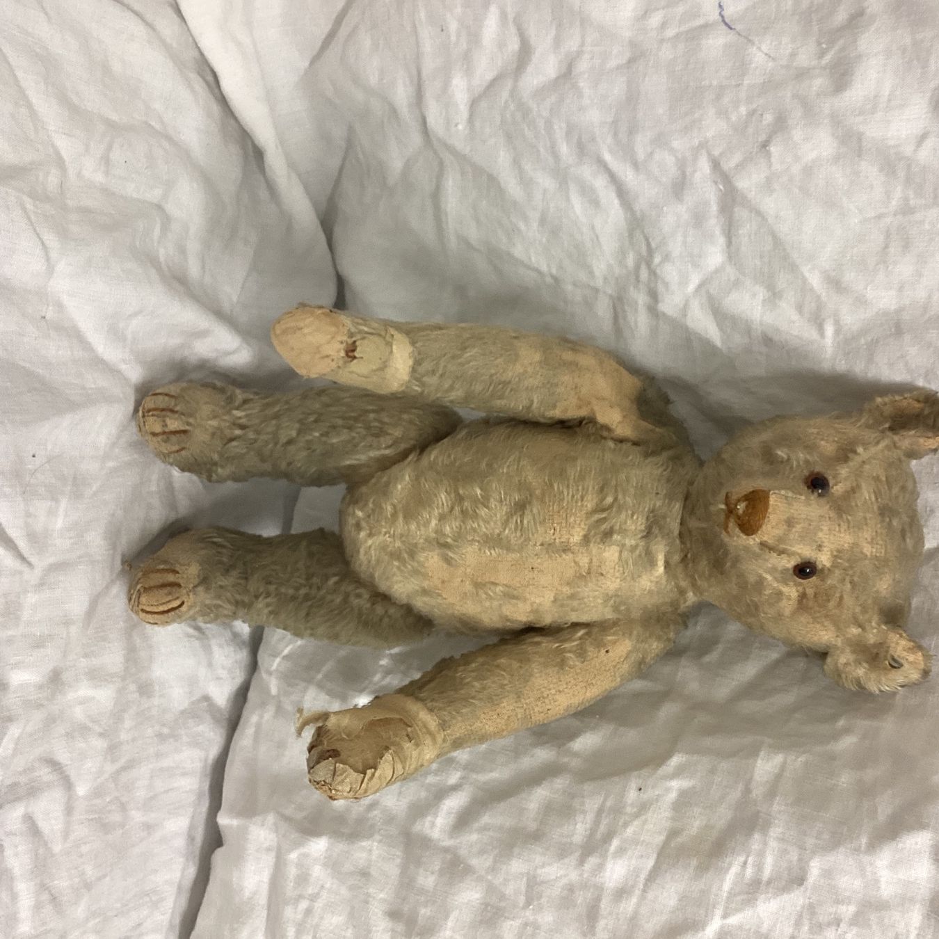 Steiff Spielzeuge: STEIFF TEDDY VON 1908/1912 SEHR SELTEN – Gebraucht aus Münchenstein von NoSu98 7