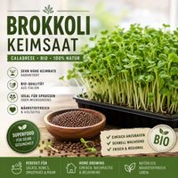 Brokkoli Keimsaat 500g für Sprossen Keimsprossen Microgreens