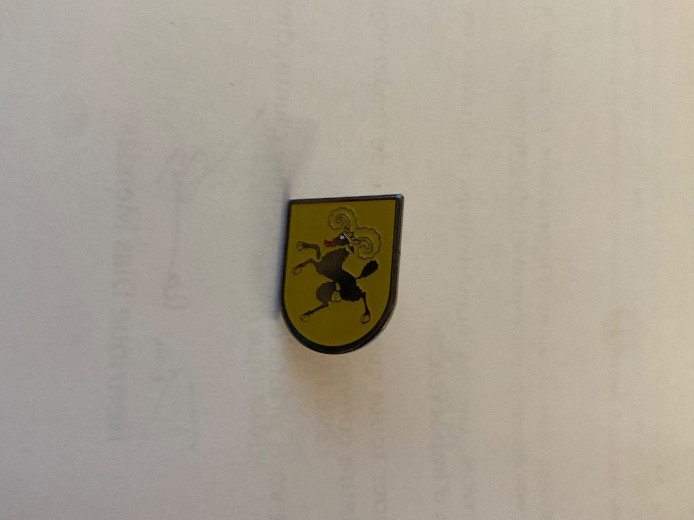 Plaketten & Abzeichen: Pin's . Schaffhausen – Neu (gemäss Beschreibung) aus Le Brassus von cinema13