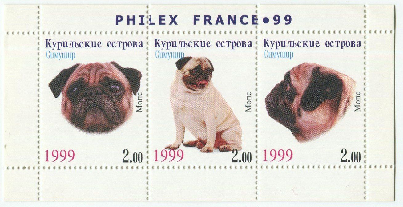 Tous les timbres: Block "Mops". Kurilen. – Neuf avec emballage d'origine à Basel par Butsch5