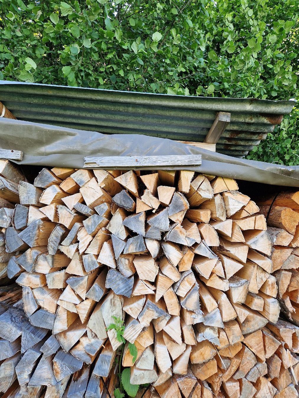 Articles en bois: Brennholz Buche – Neuf avec emballage d'origine à Hundwil par Vario312 1