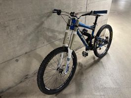 Bergamont Downhill