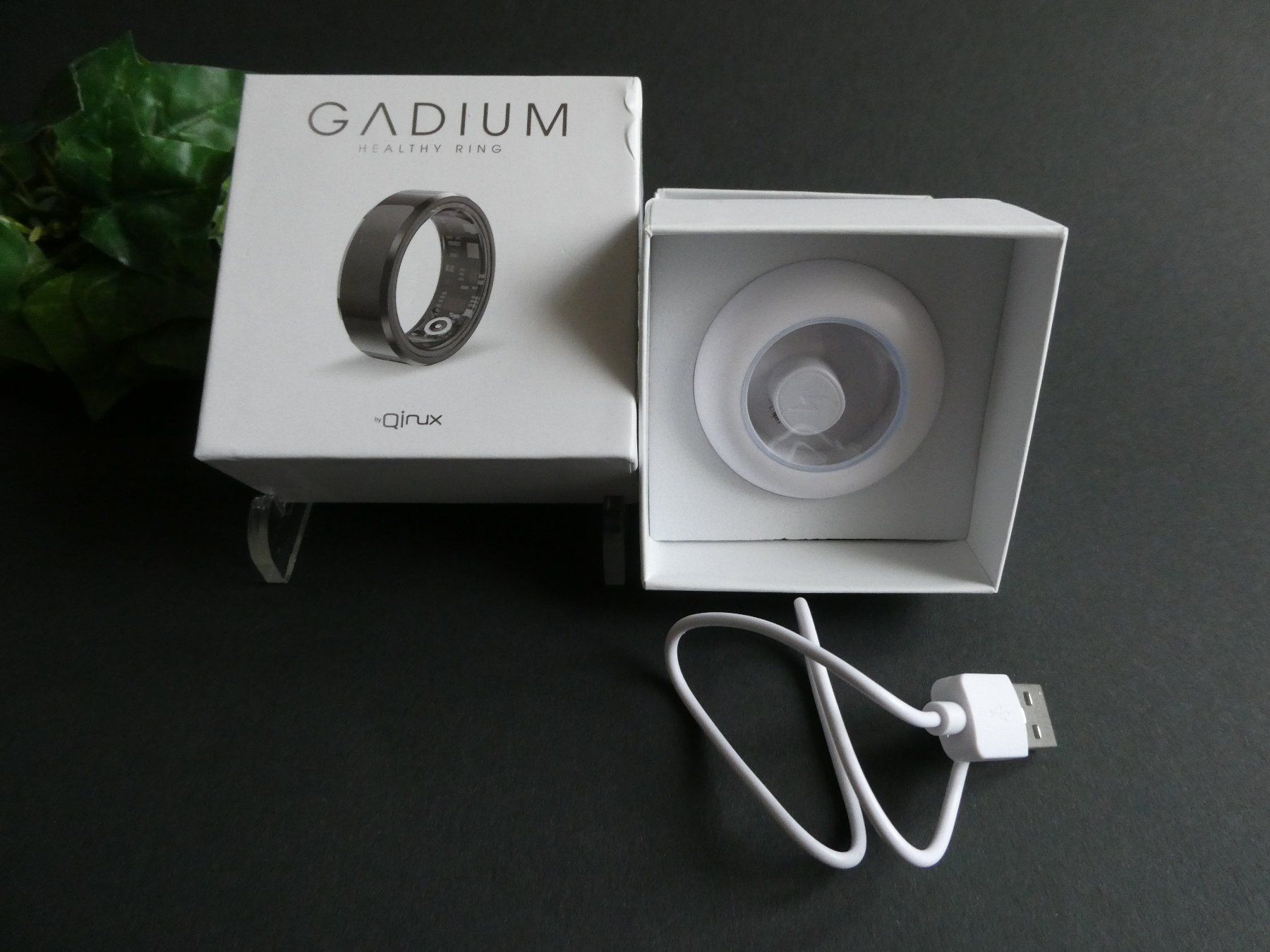 Anelli: Ring Smart Ring Qinux Gadium SILBER- NP 138.00 – Nuovo e nell'imballaggio originale da Zürich venduto da ursinas-shop 4