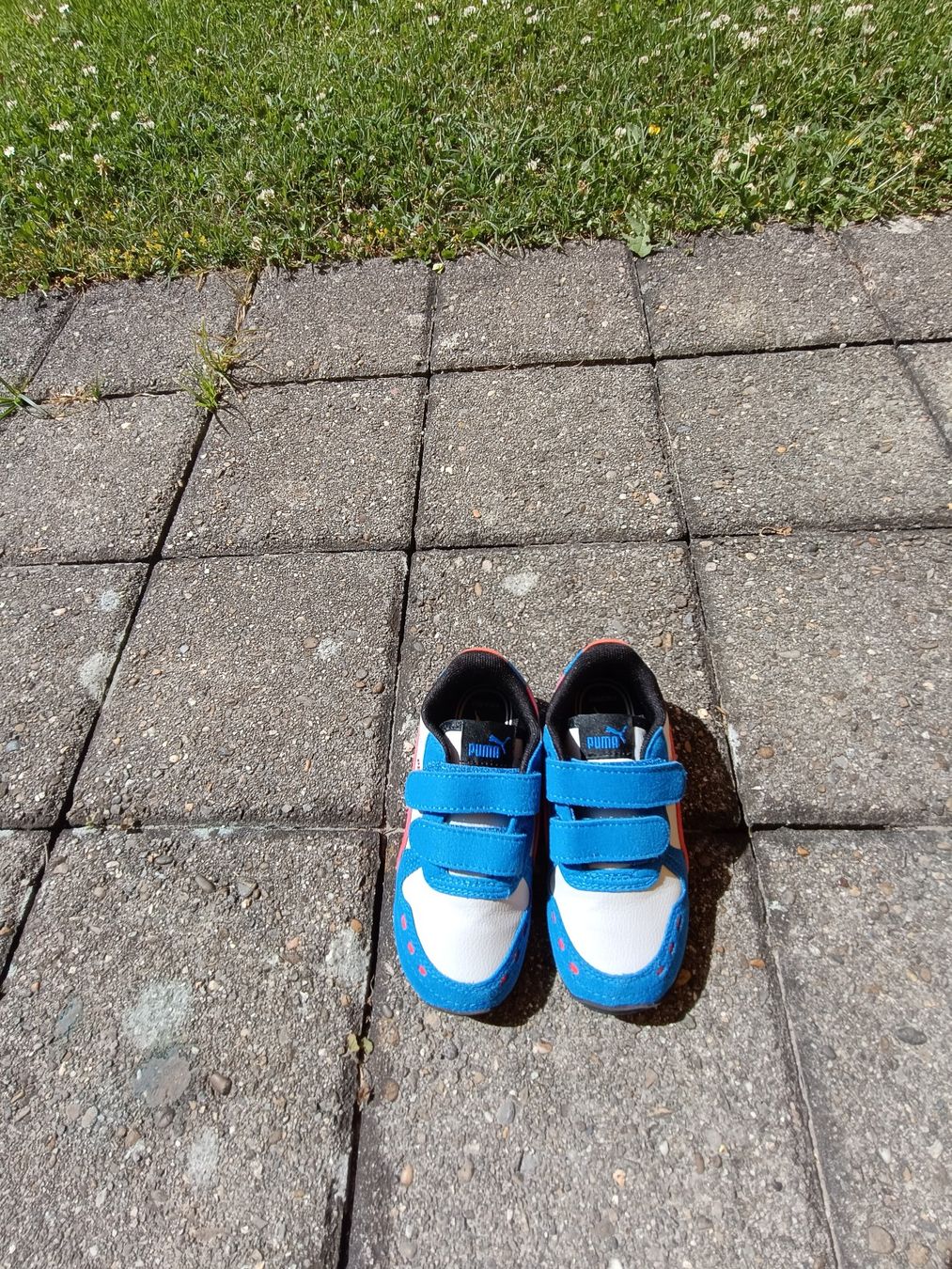 Puma Scarpe per ragazzi: neue Puma Kinderschuhe, Grösse 25 – Nuovo (secondo la descrizione) da Berikon venduto da mezzze 3