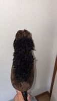 Hobby horse