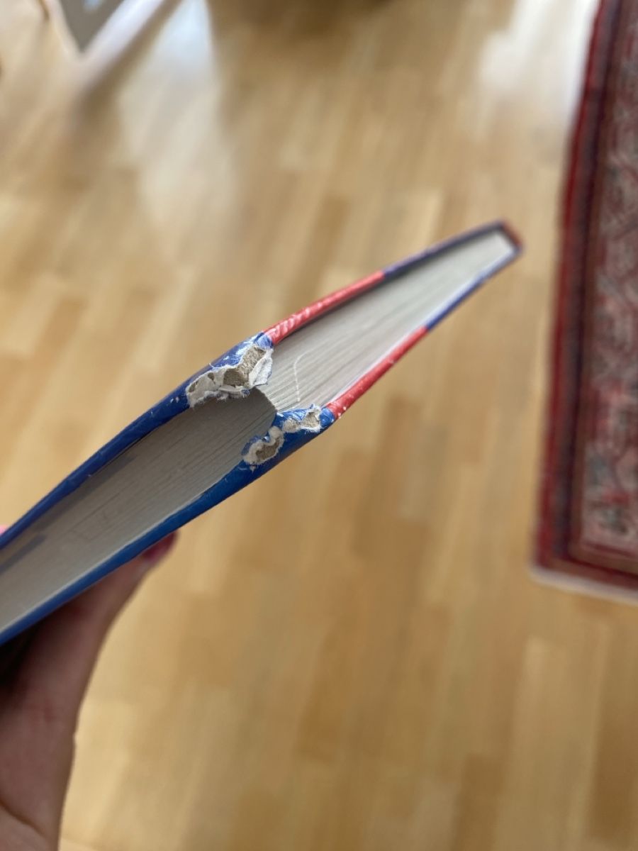 Libri: Diercke Weltatlas Schweiz – Usato da Bern venduto da emm_dwc5 4