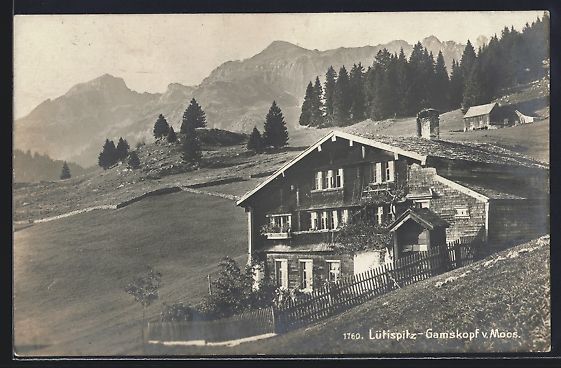 Ansichtskarten: Schindelnberg-Lütispitz, Panorama v. Mo – Gebraucht aus Berlin von bartko-reher