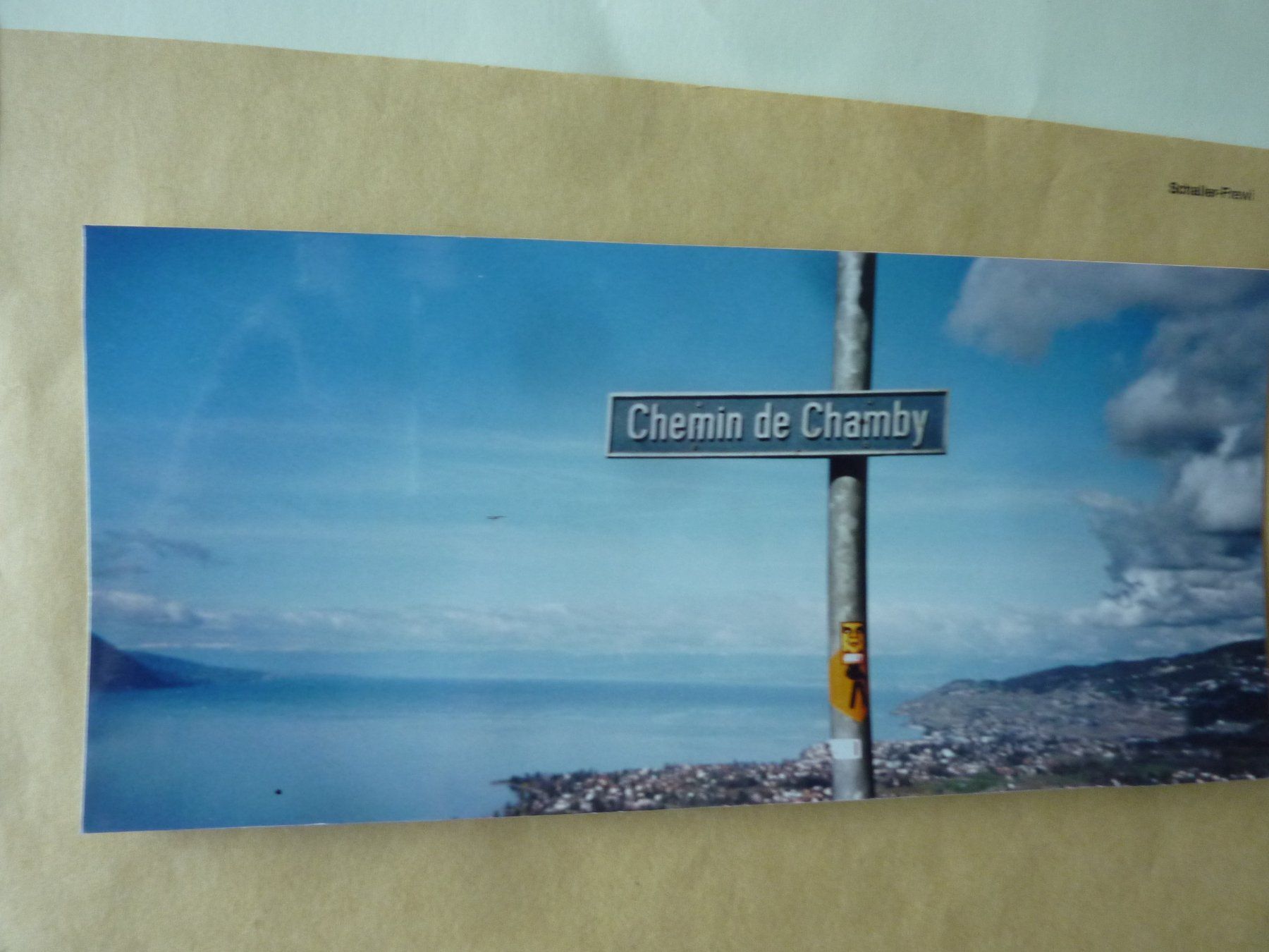 Cartoline postali: FOTOPOSTKARTE ORIGINAL MIT BRIEFMARKEN,  POSTSTEMPEL CHAMBY – Usato da Zürich venduto da Rrehsuah