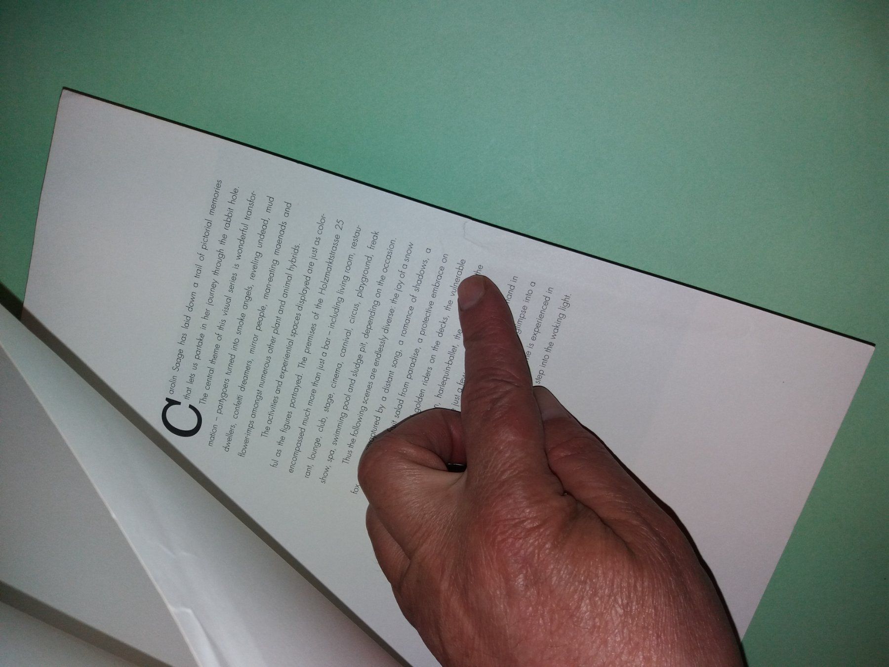Libri: CAROLIN Saage  Fotobuch – Usato da Welschenrohr venduto da Regool 9
