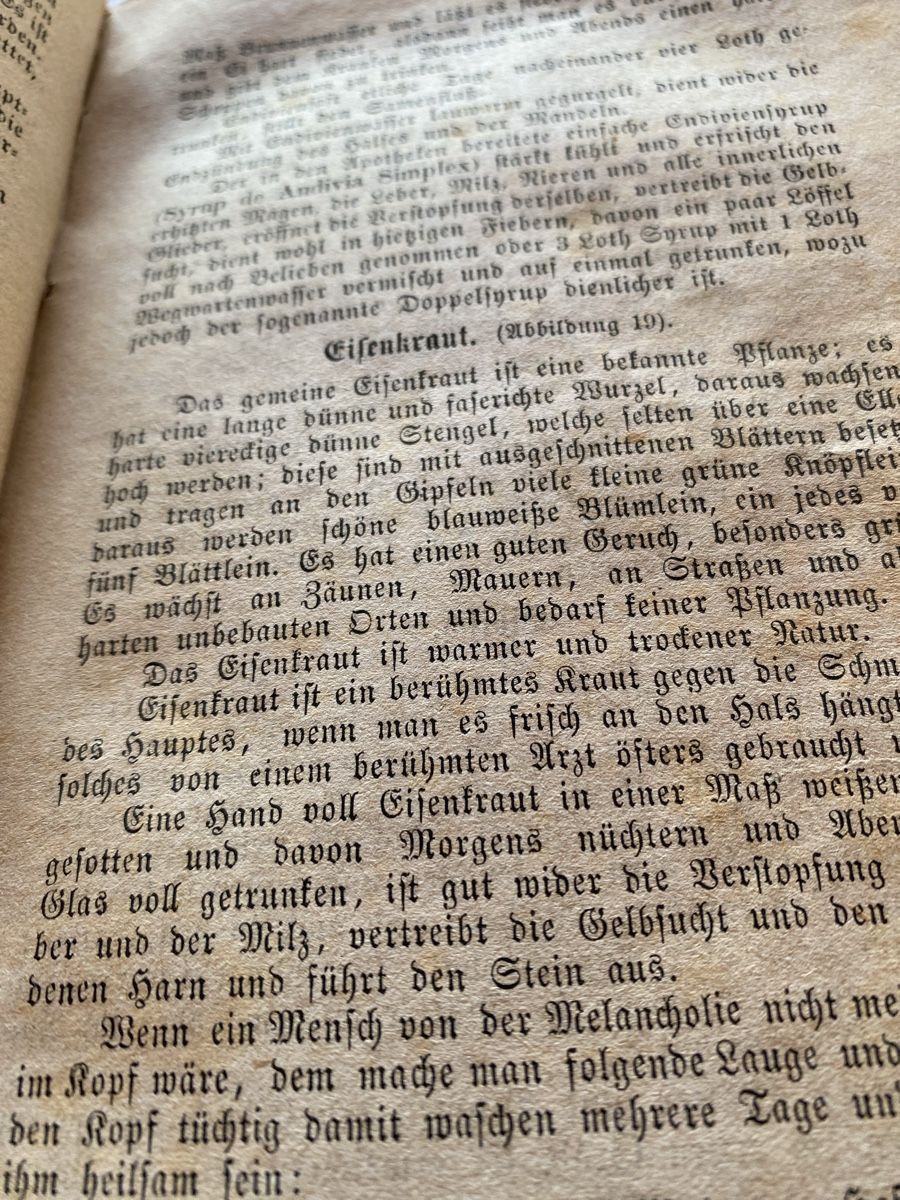 Libri: Antike Bücher – Usato da St. Gallen venduto da Alexandra032 5