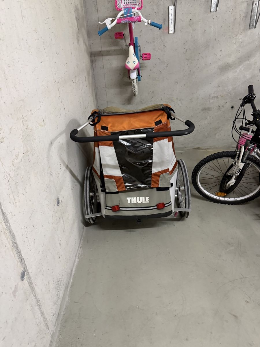 Thule Anhänger: Thule Kinderfahrradanhänger 2-Plätzer – Gebraucht aus Glattpark(Opfikon) von smmj84 2