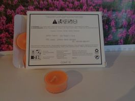 12 Teelichter Wild Rhabarber Citrus