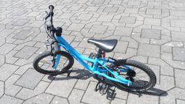 Kinder Fahrrad Naloo Chameleon 16 Zoll sehr guter Zustand