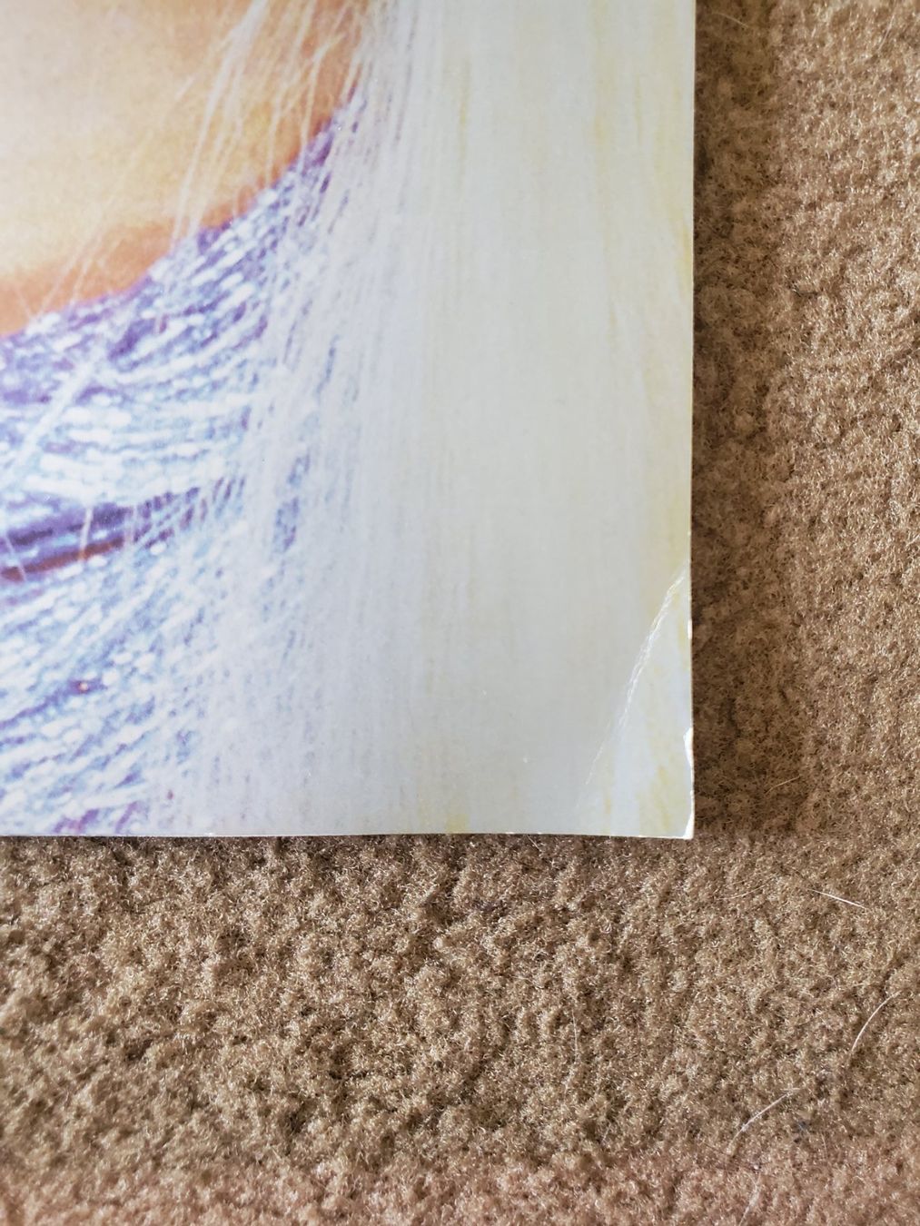 Libri: Cher Farewell Tour 2004 – Usato da Opfikon venduto da Steins_Siedlung 1