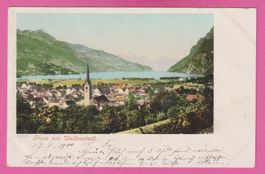 Gruss aus Wallenstadt / Walenstadt gel 1901