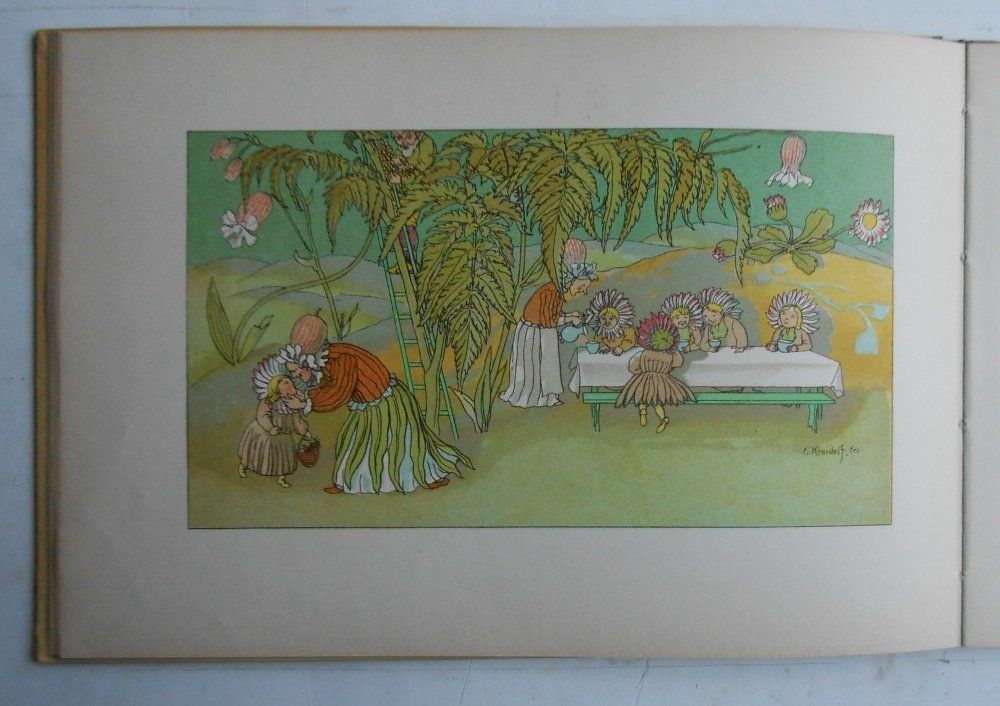 Bücher: Kreidolf. Blumen - Märchen. – Gebraucht aus Basel von Domba 4