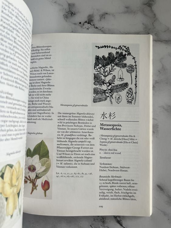 Buch „Chinesische Zierpflanzen“ von Ruth SchneebeliGraf Acheter