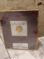Parfum homme Lalique horse 75ml