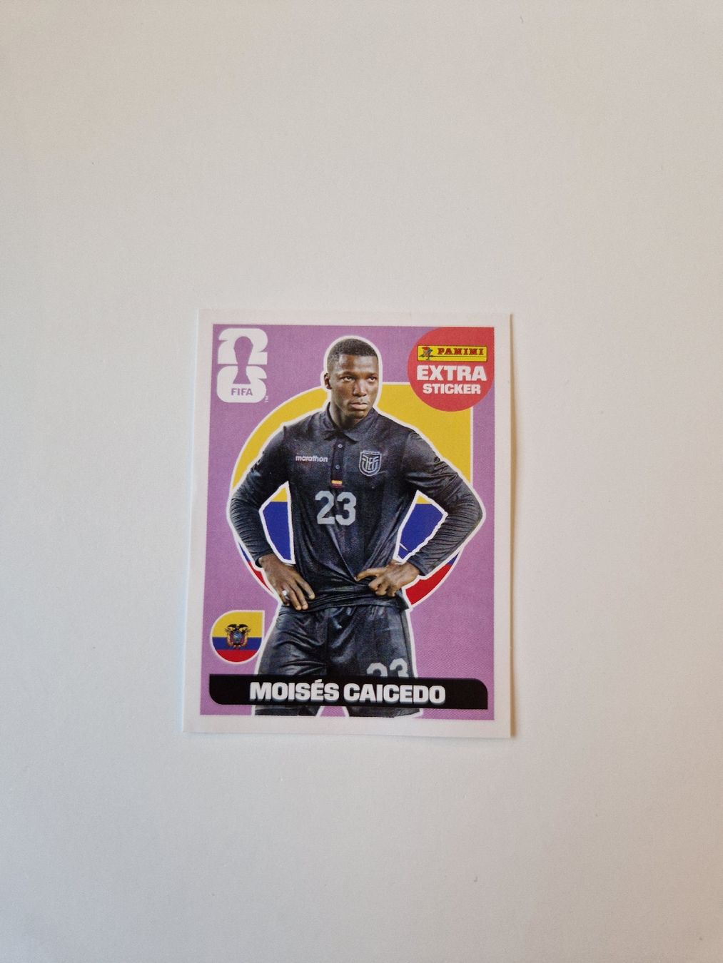 Panini Sammelbilder & Trading cards: Extrasticker – Neu (gemäss Beschreibung) aus Adligenswil von ced_svt7