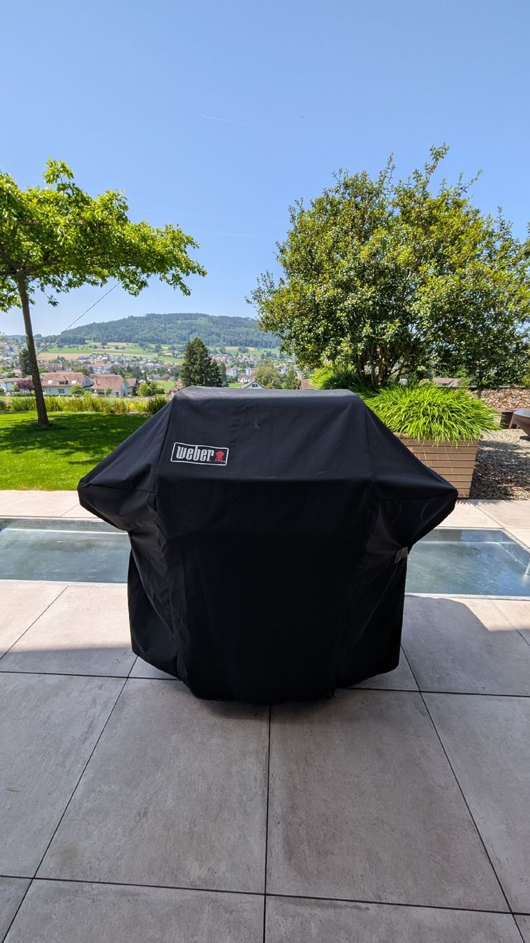 Griglie: Weber Spirit Gasgrill – Usato da Reinach AG venduto da Ugrendi 3