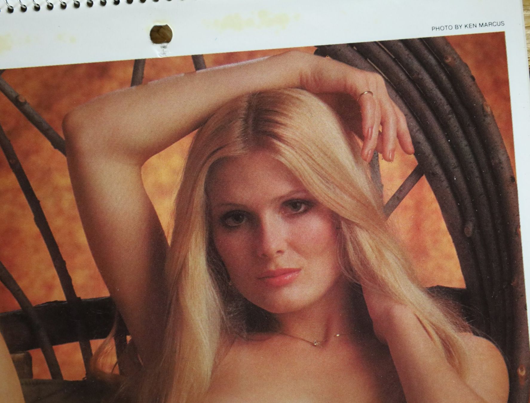 Playboy Calendari: PLAYBOY Kalender 1980 – Usato da Birrwil venduto da brandschatz_birrwil 4