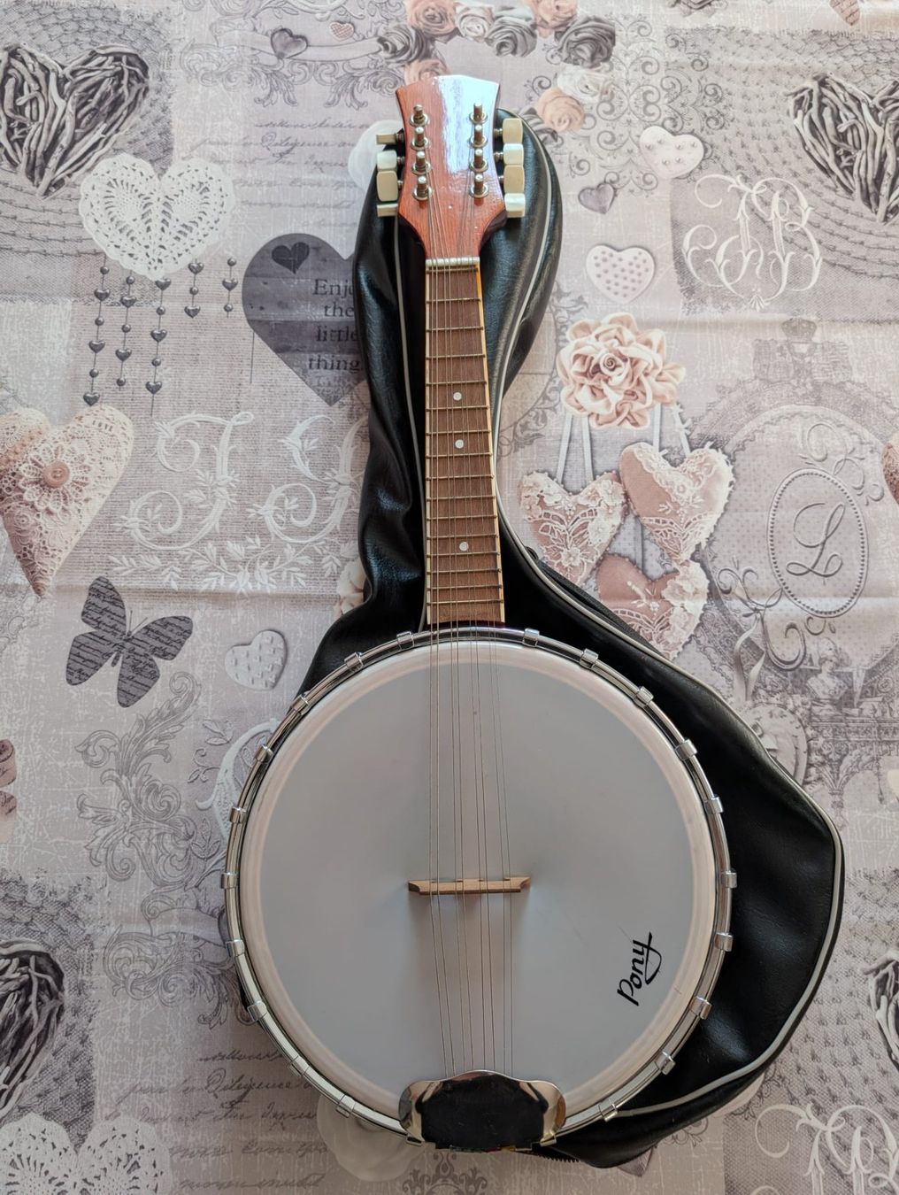 Strumenti musicali: Original Pony Banjo – Usato da Fribourg venduto da mikedust