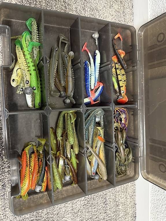 Esche: Diverse Gummifische Barsch und Zander – Usato da Mammern venduto da flohmarkt_tg