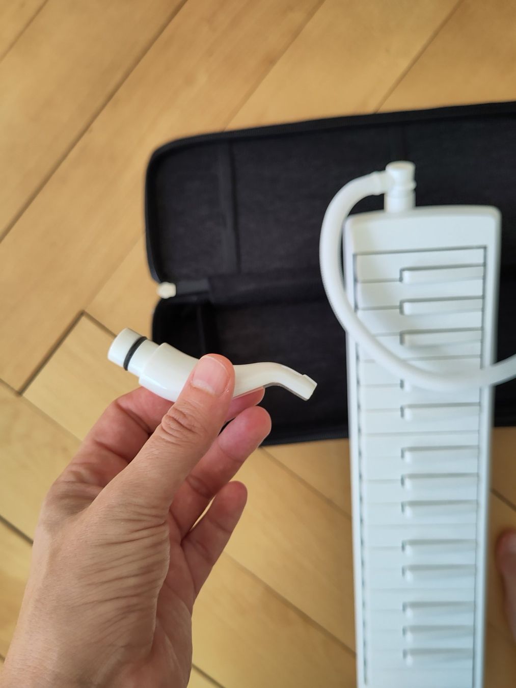 Hohner Strumenti musicali: Supreme Hohner Melocida AirBoard – Usato da Basel venduto da Len_z66c 2