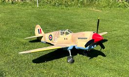 Modellflugzeug Curtiss P40