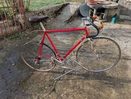 allegro vélo de course 