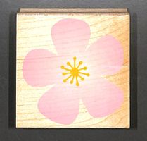 Blume Blüte Stempel 🌸 HERO ARTS © 2005 - NEU