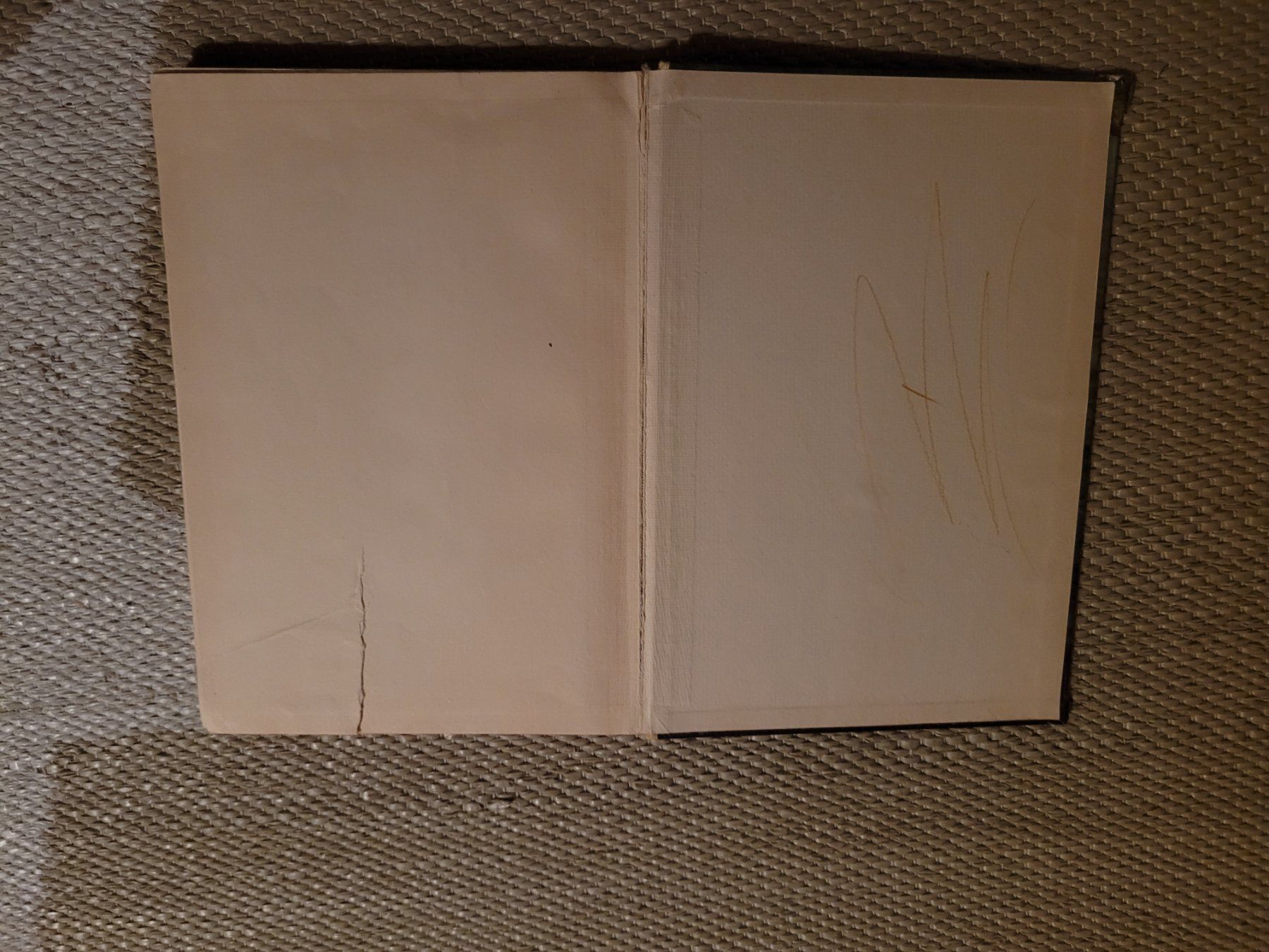 Libri: Pinocchio – Usato da Perlen venduto da Safari_23 2
