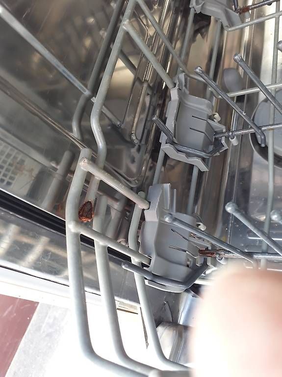 Siemens Geschirrspüler: Lave vaisselle SIEMENS 60cm – Defekt aus Delémont von grandpapa34 3