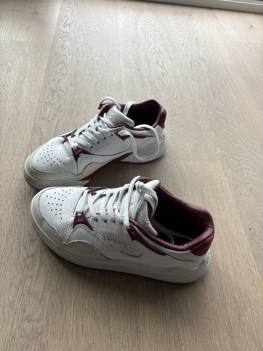 Lacoste Scarpe da donna: Lacoste Sneaker Ledersneaker, Gr. 38, Top! – Usato da Rüttenen venduto da Peace61 1