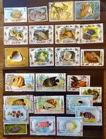 Motive - Fische / Poissons
