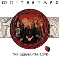 Whitesnake Vinyl Single von 1989