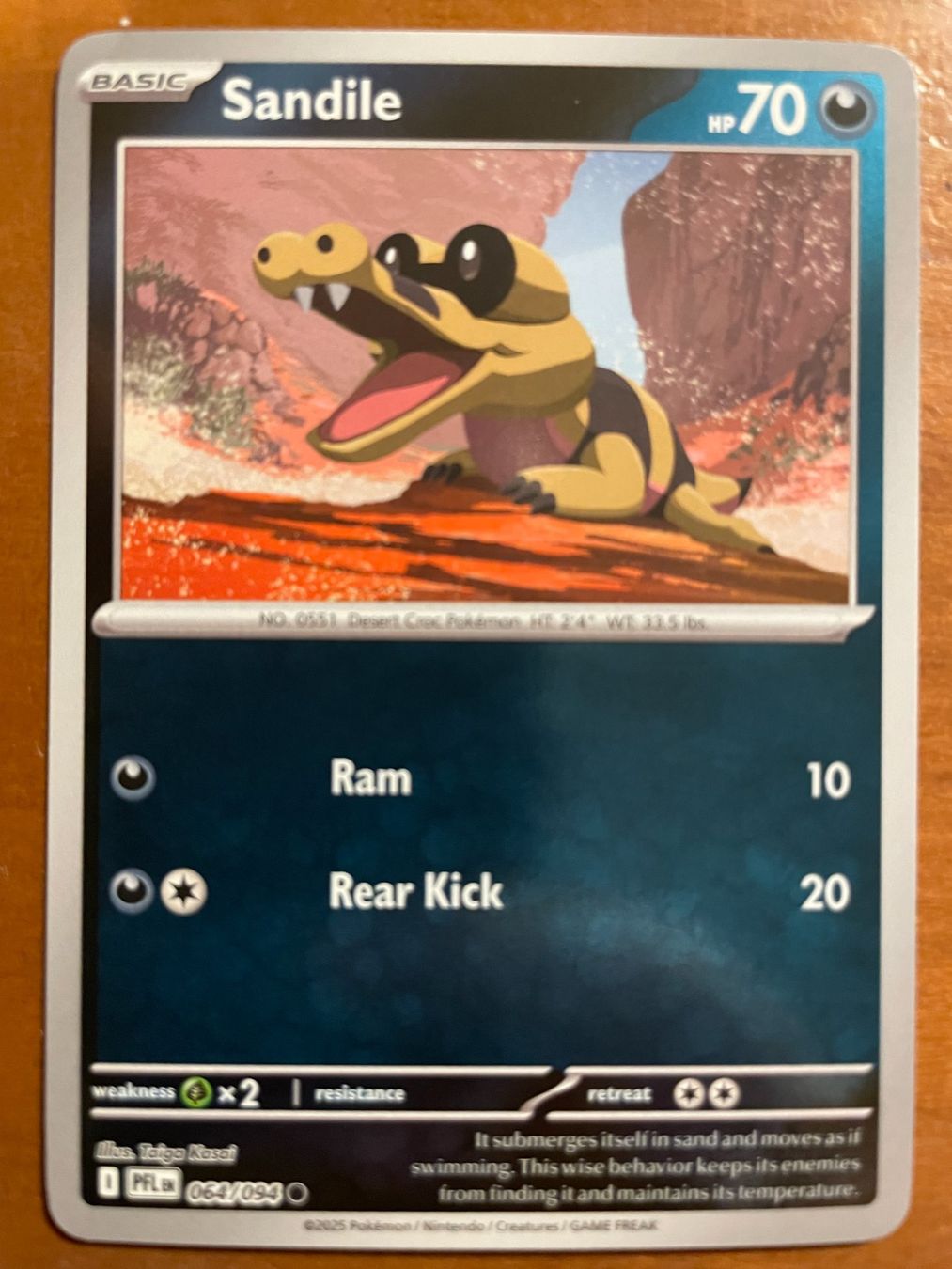 Pokémon Carte collezionabili: Pokemon Sandile Reverse (Versand gratis) – Nuovo (secondo la descrizione) da Chur venduto da Angerson
