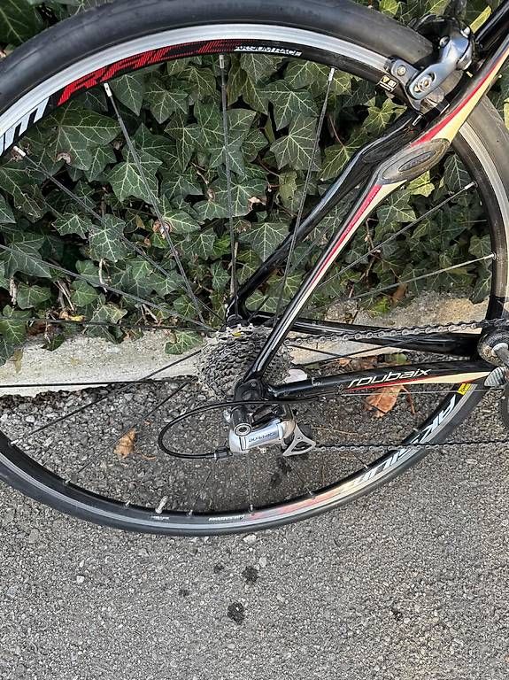 Velos: Specialized Roubaix – Gebraucht aus Herisau von tab_x7sf 2