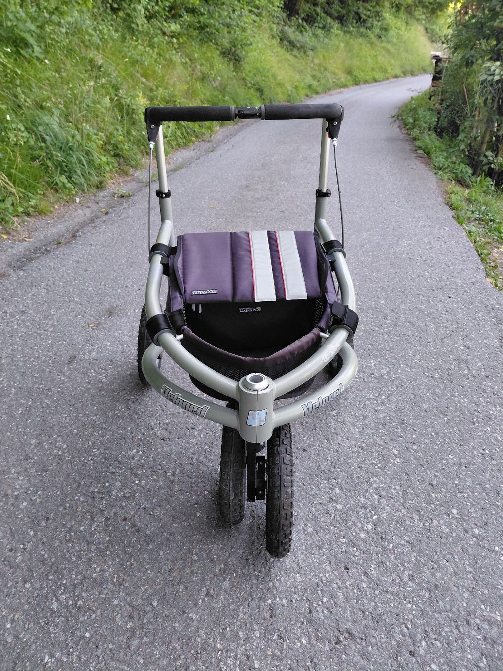Gehhilfen: Rollator Veloped Trionic12er M  – Gebraucht aus Untervaz von Rezina 2